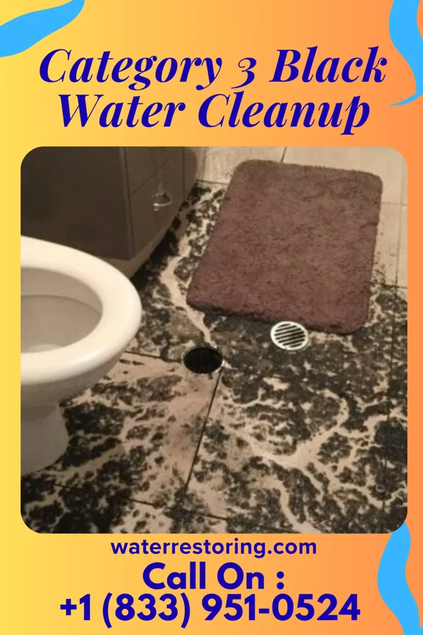 Category 3 Black Water Cleanup in Pierpoint, CA