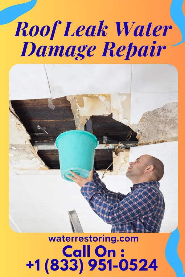 Roof Leak Water Damage Repair in Pierpoint, CA